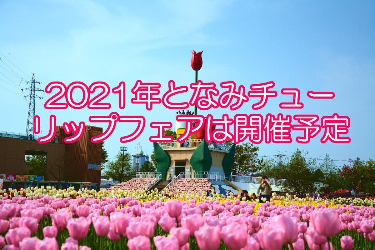 お家でお花見チューリップフェア Campfire キャンプファイヤー お家でお花見チューリップフェア Campfire キャンプファイヤー