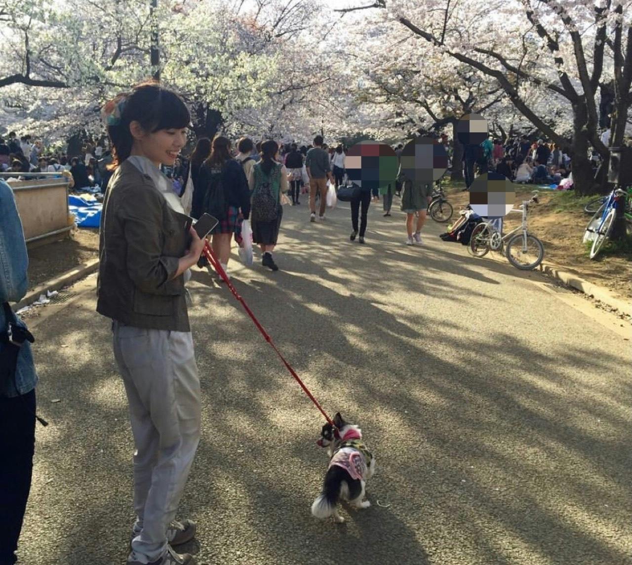愛犬の写真で世界に一つだけの絵本をつくります By Tokyo Dog Snap Campfire キャンプファイヤー 愛犬の写真で世界に一つだけの絵本をつくります By Tokyo Dog Snap Campfire キャンプファイヤー