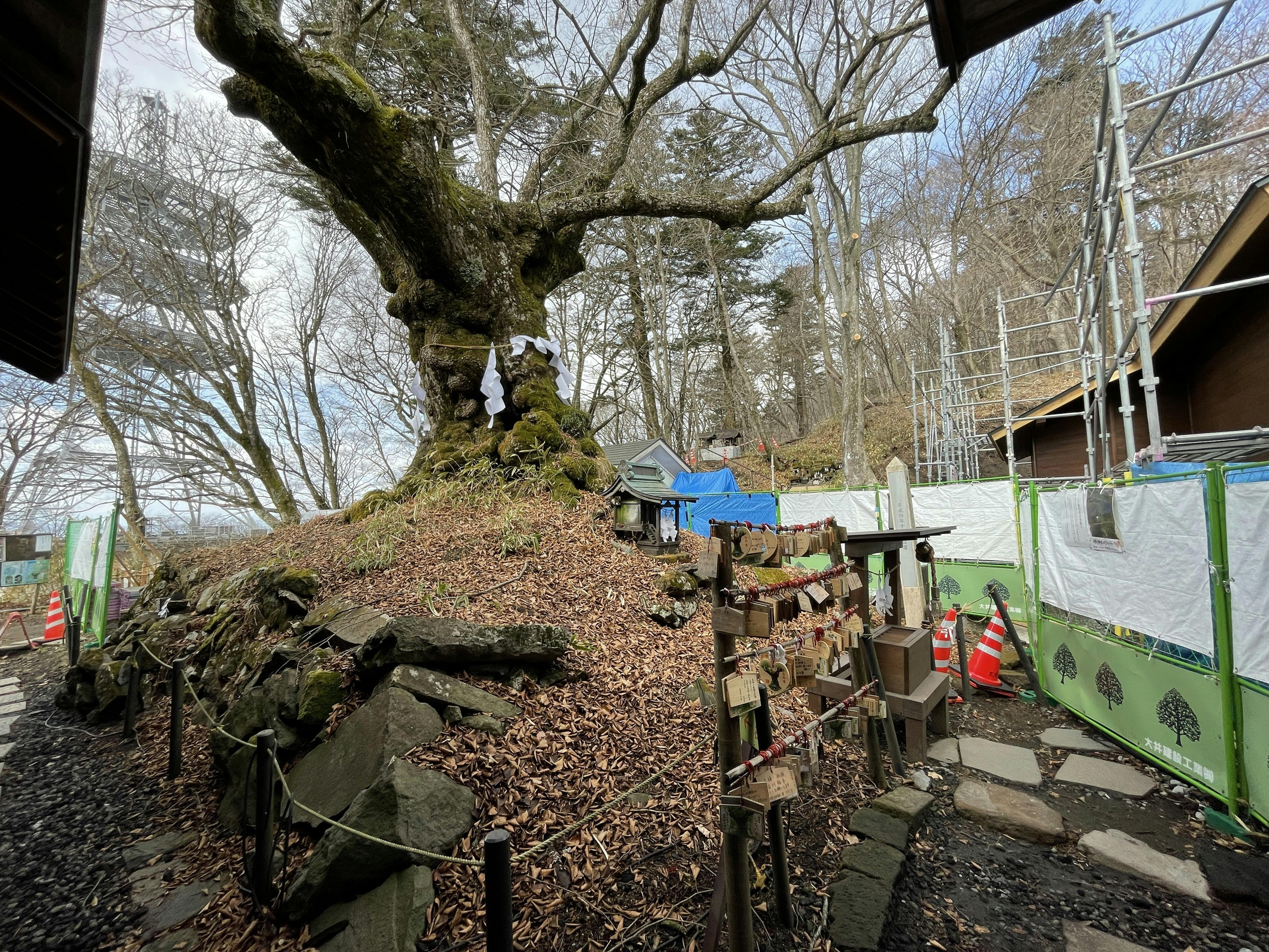 100年後にのこる神社として地域コミュニティの場作りへチャレンジします Campfire キャンプファイヤー 100年後にのこる神社として地域コミュニティの場作りへチャレンジします Campfire キャンプファイヤー