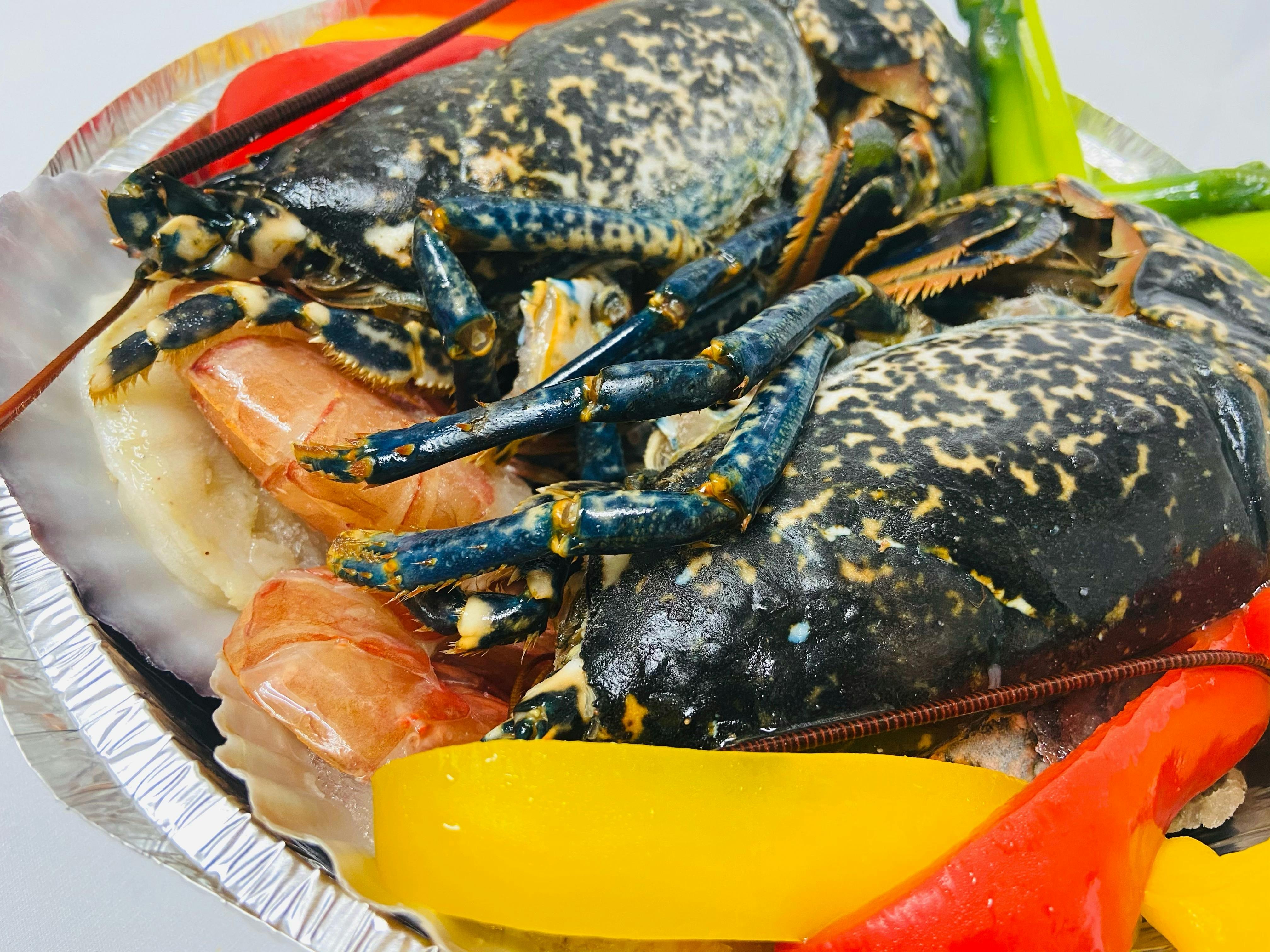 1000匹のオマール海老を救ってください Campfire キャンプファイヤー 1000匹のオマール海老を救ってください Campfire キャンプファイヤー