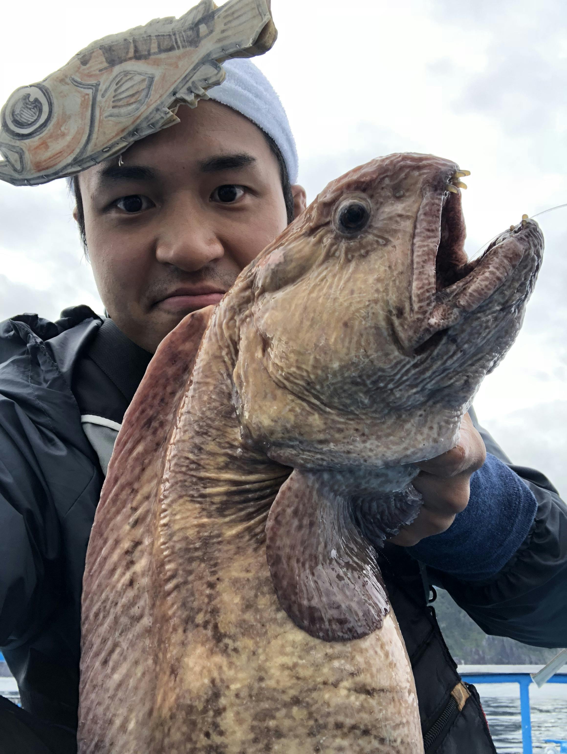 実際に食べた0種類の深海生物を紹介する書籍をつくり鯛 Campfire キャンプファイヤー 実際に食べた0種類の深海生物を紹介する書籍をつくり鯛 Campfire キャンプファイヤー