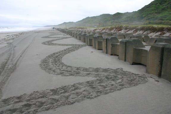 消波ブロックによって彷徨った足跡