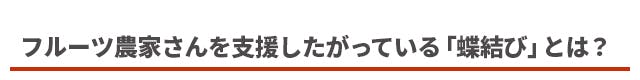 フルーツ農家さんを支援したがっている「蝶結び」とは？