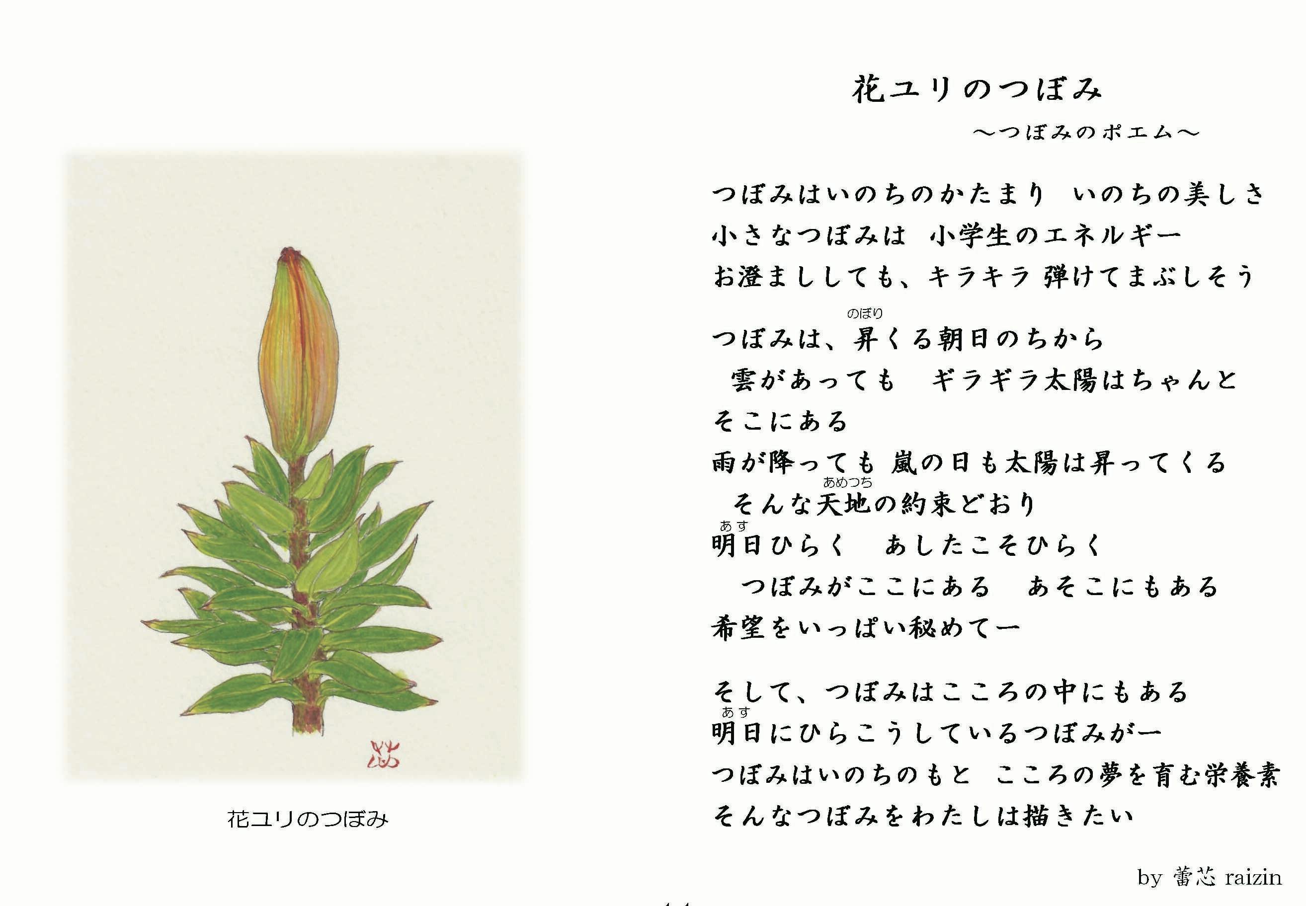 展示の出前 つぼみの絵と詩 施設内展示で全国の子どもたちにつぼみパワーを届けたい Campfire キャンプファイヤー 展示の出前 つぼみの絵と詩 施設内展示で全国の子どもたちにつぼみパワーを届けたい Campfire キャンプファイヤー