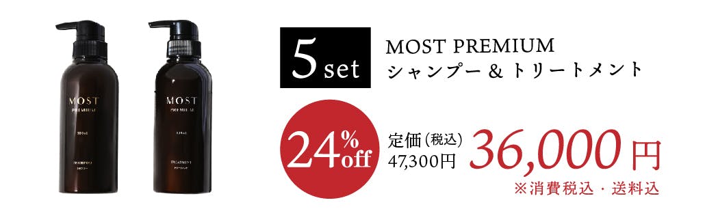 シルクのような美髪をご自宅で体験！高級サロン専売品のシャンプー&トリートメント - CAMPFIRE (キャンプファイヤー)