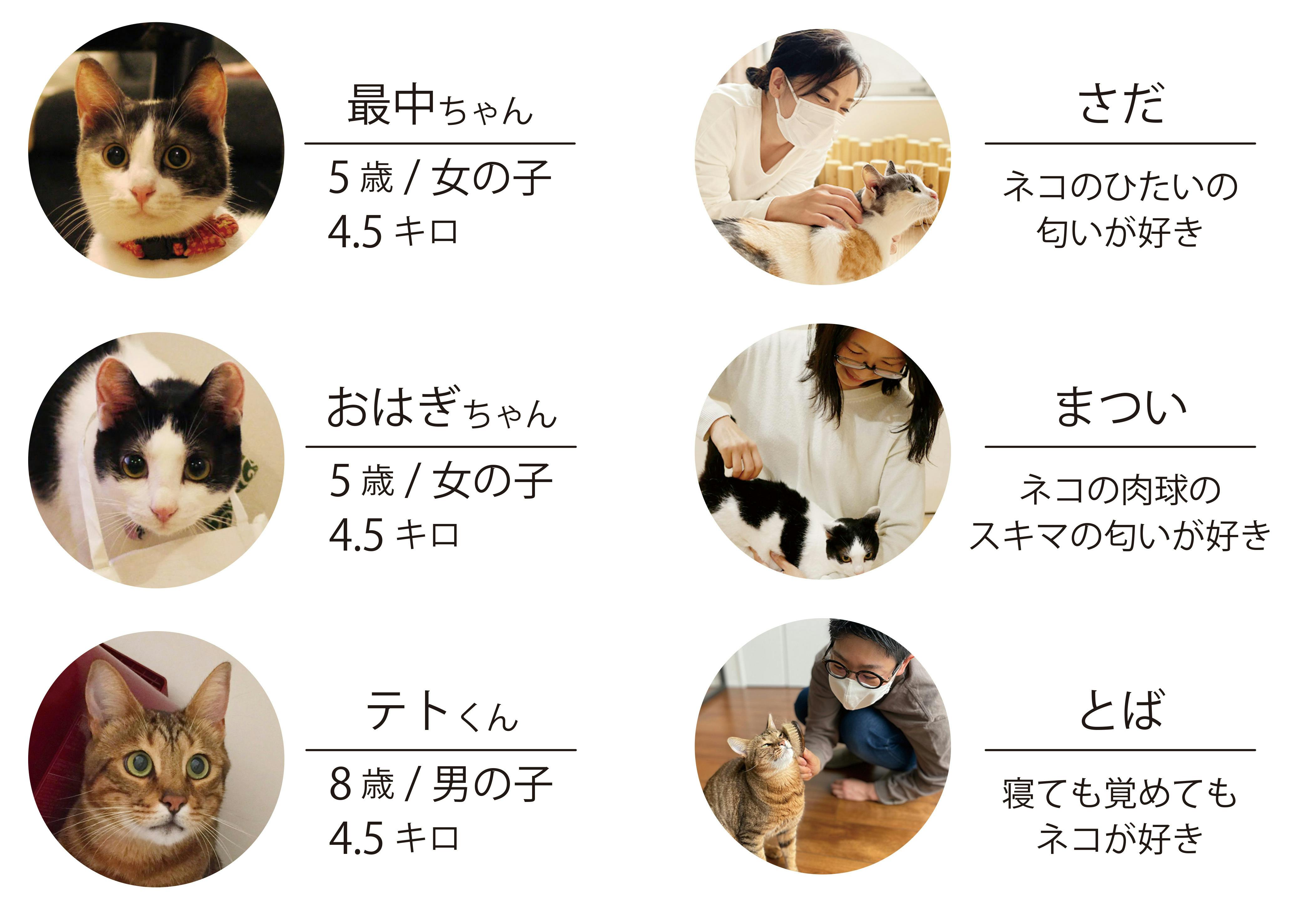 入園入学祝い 猫好き様専用 asakusa.sub.jp