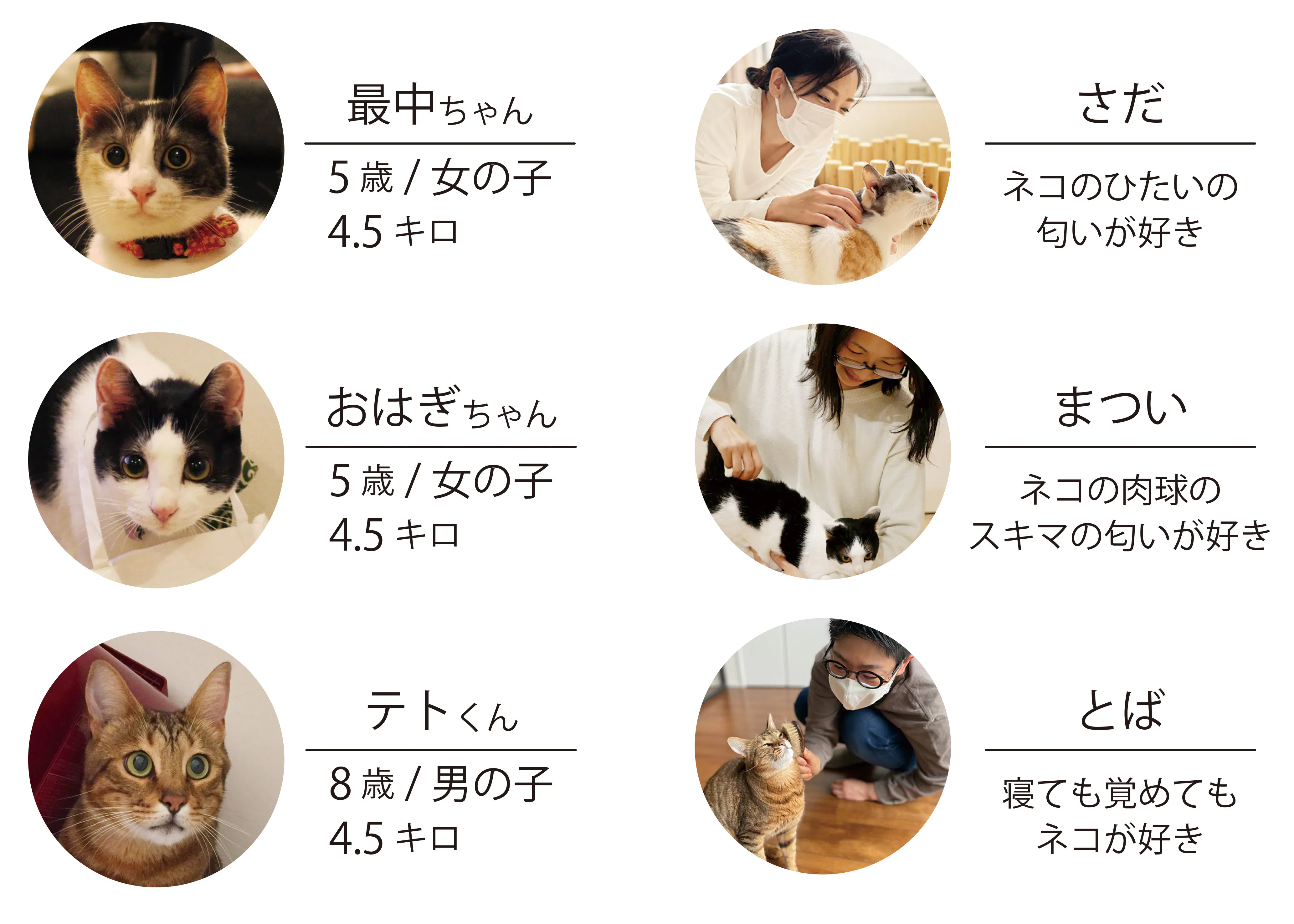 猫好きが本気で考えたネコの為のネコ型うつわ Campfire キャンプファイヤー