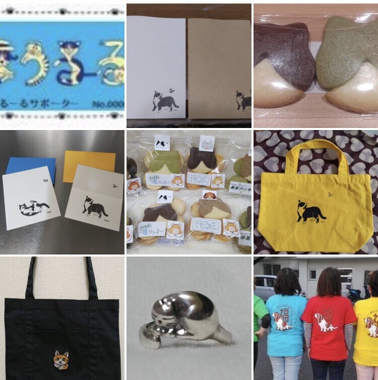 保護猫 犬 が うちの子 になるためのふれあいカフェとシェルターを運営したい Campfire キャンプファイヤー 保護猫 犬 が うちの子 になるためのふれあいカフェとシェルターを運営したい Campfire キャンプファイヤー