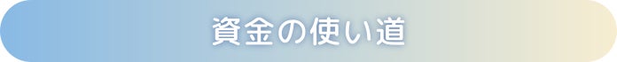 資金の使い道