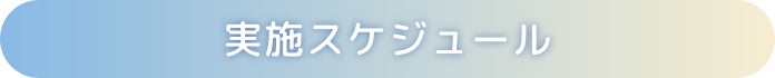 実施スケジュール