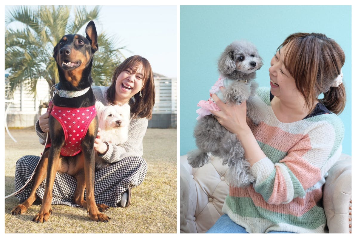 繁殖引退犬たちの 第二の犬生をしあわせにしたい プロジェクト Campfire キャンプファイヤー 繁殖引退犬たちの 第二の犬生をしあわせにしたい プロジェクト Campfire キャンプファイヤー