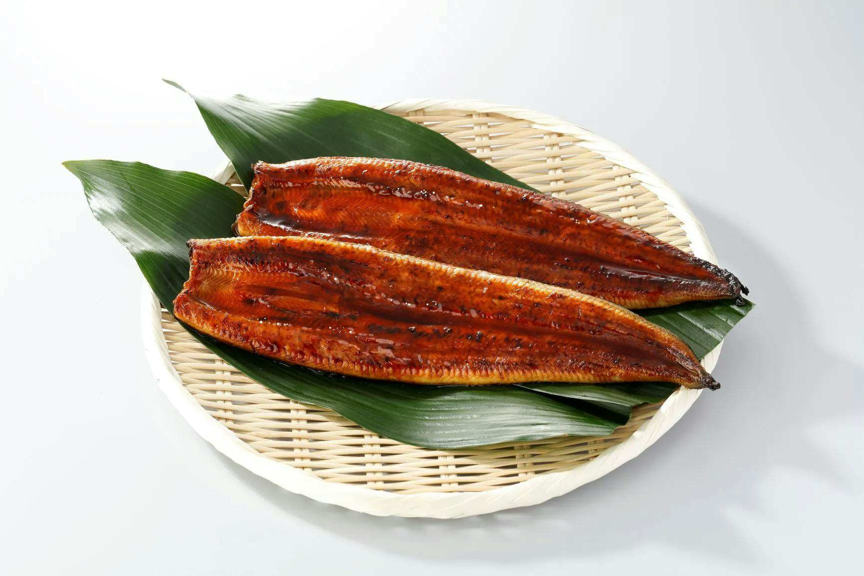 秘伝のタレで焼いた鹿児島県産うなぎの蒲焼と高級刺身用あわびを食べて救ってほしい Campfire キャンプファイヤー 秘伝のタレで焼いた鹿児島県産うなぎの蒲焼と高級刺身用あわびを食べて救ってほしい Campfire キャンプファイヤー