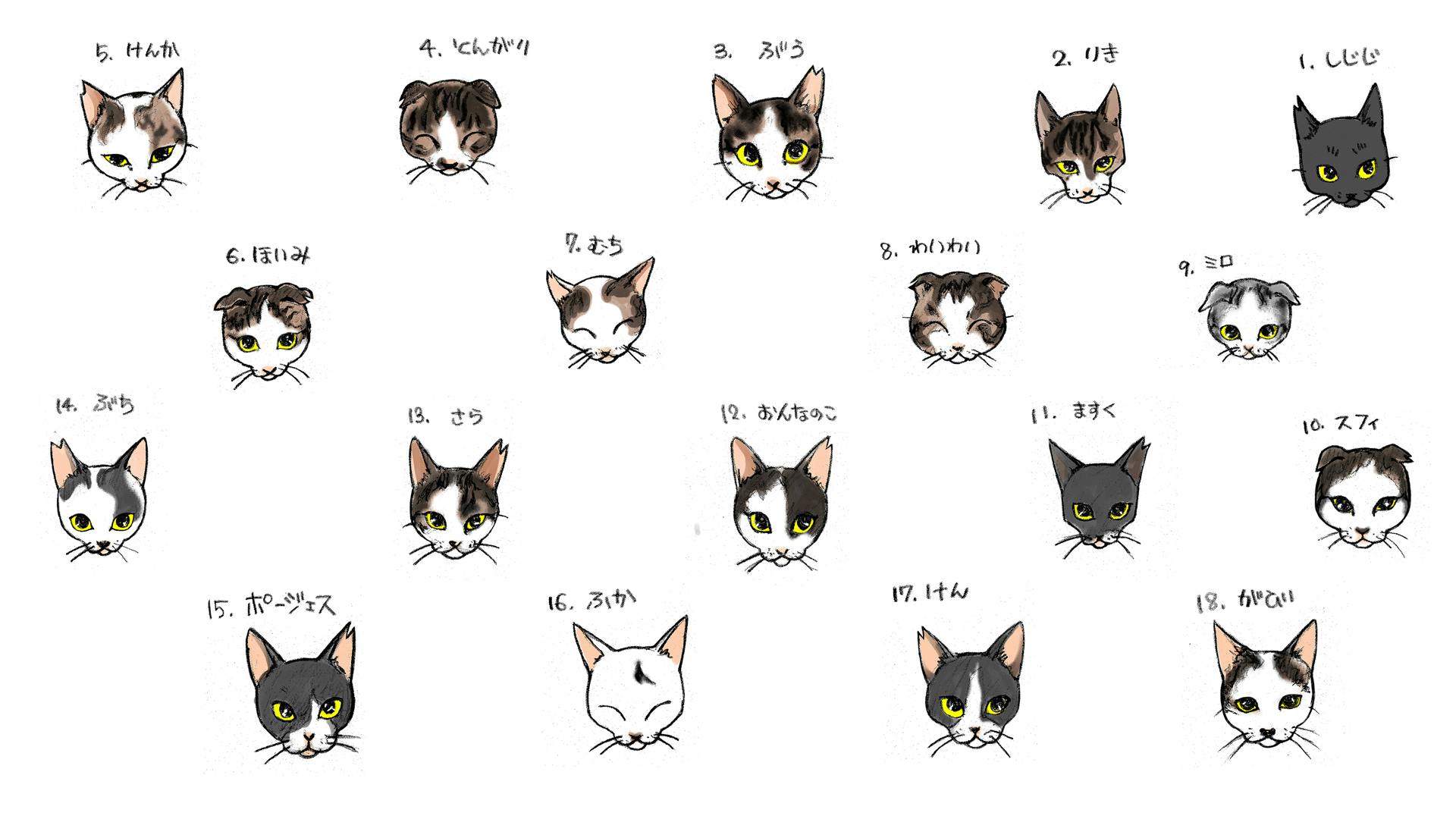 母が急逝し18匹の猫を保護しています この子達との活動費ご助力お願いいたします Campfire キャンプファイヤー 母が急逝し18匹の猫を保護しています この子達との活動費ご助力お願いいたします Campfire キャンプファイヤー