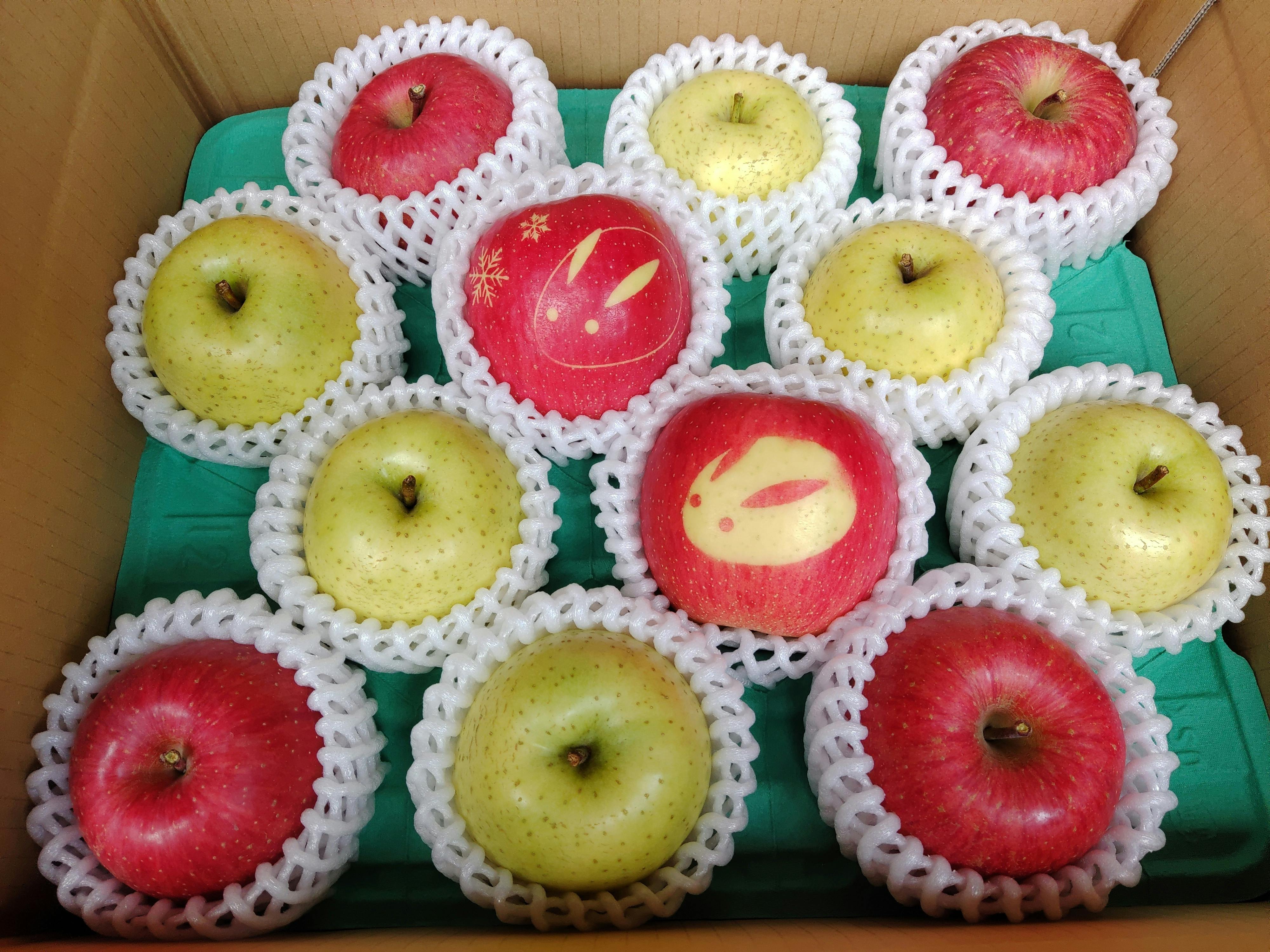 (キャンプファイヤー)　イラスト入りりんごを作りました！新しい驚きと美味しさで食卓に笑顔を届けます！　CAMPFIRE