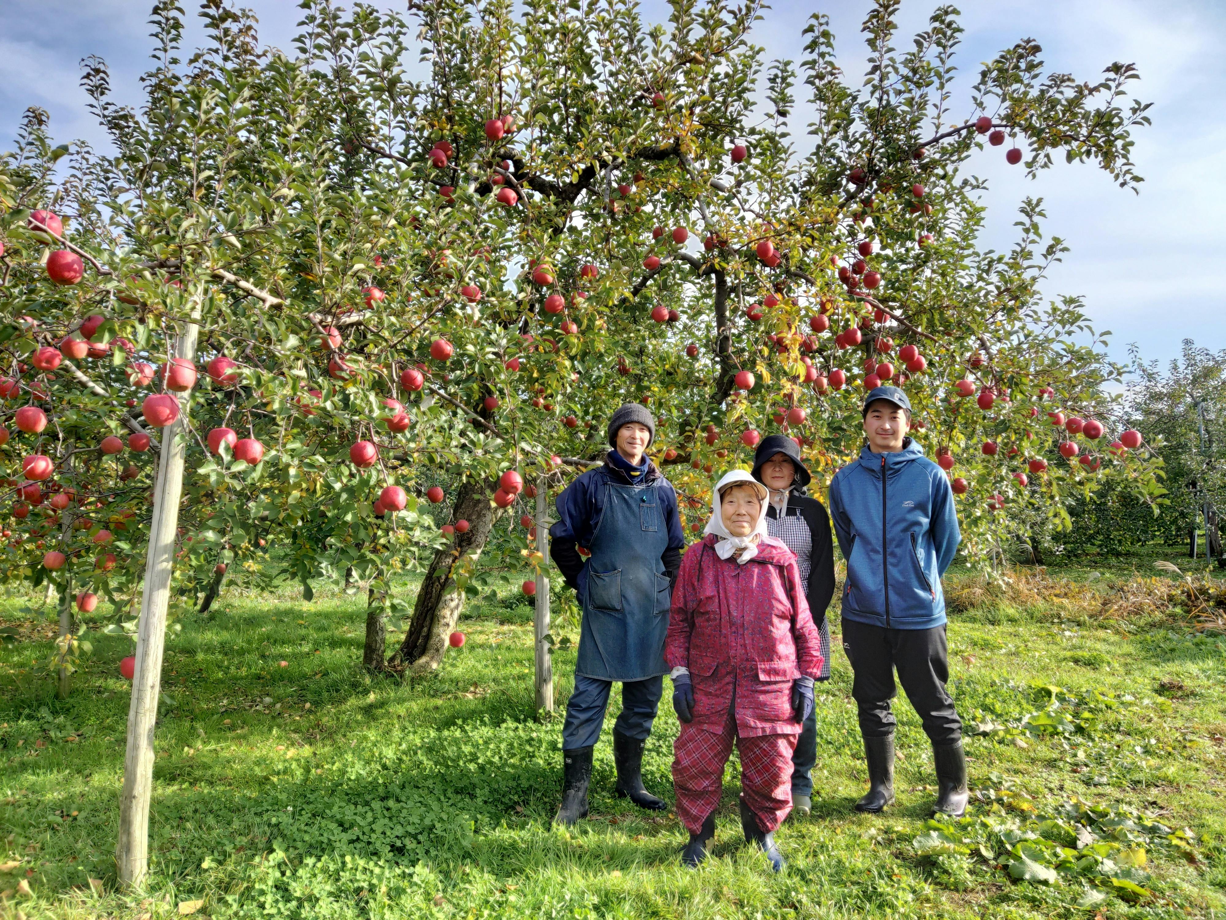 イラスト入りりんごを作りました 新しい驚きと美味しさで食卓に笑顔を届けます Campfire キャンプファイヤー