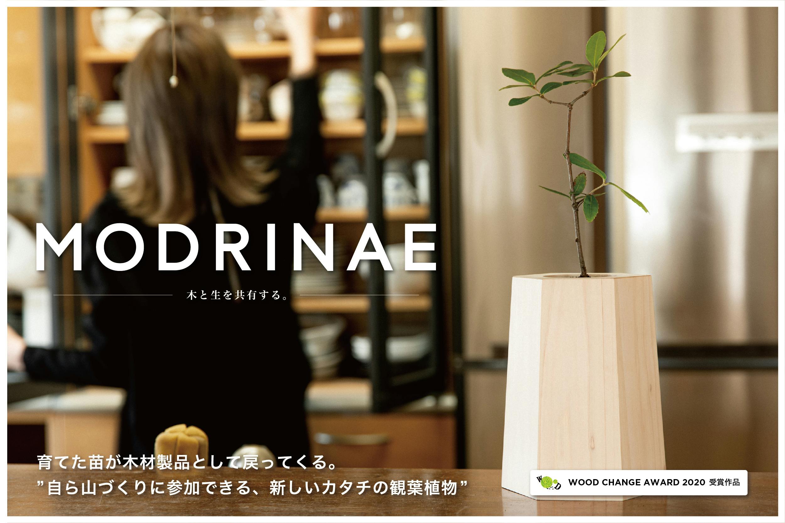 木と根を除去してくださる方募集！