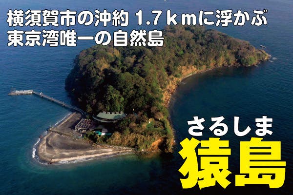 東京湾から発信 ゴミ からはじまる 無人島の未来 猿島エコステーション Campfire キャンプファイヤー
