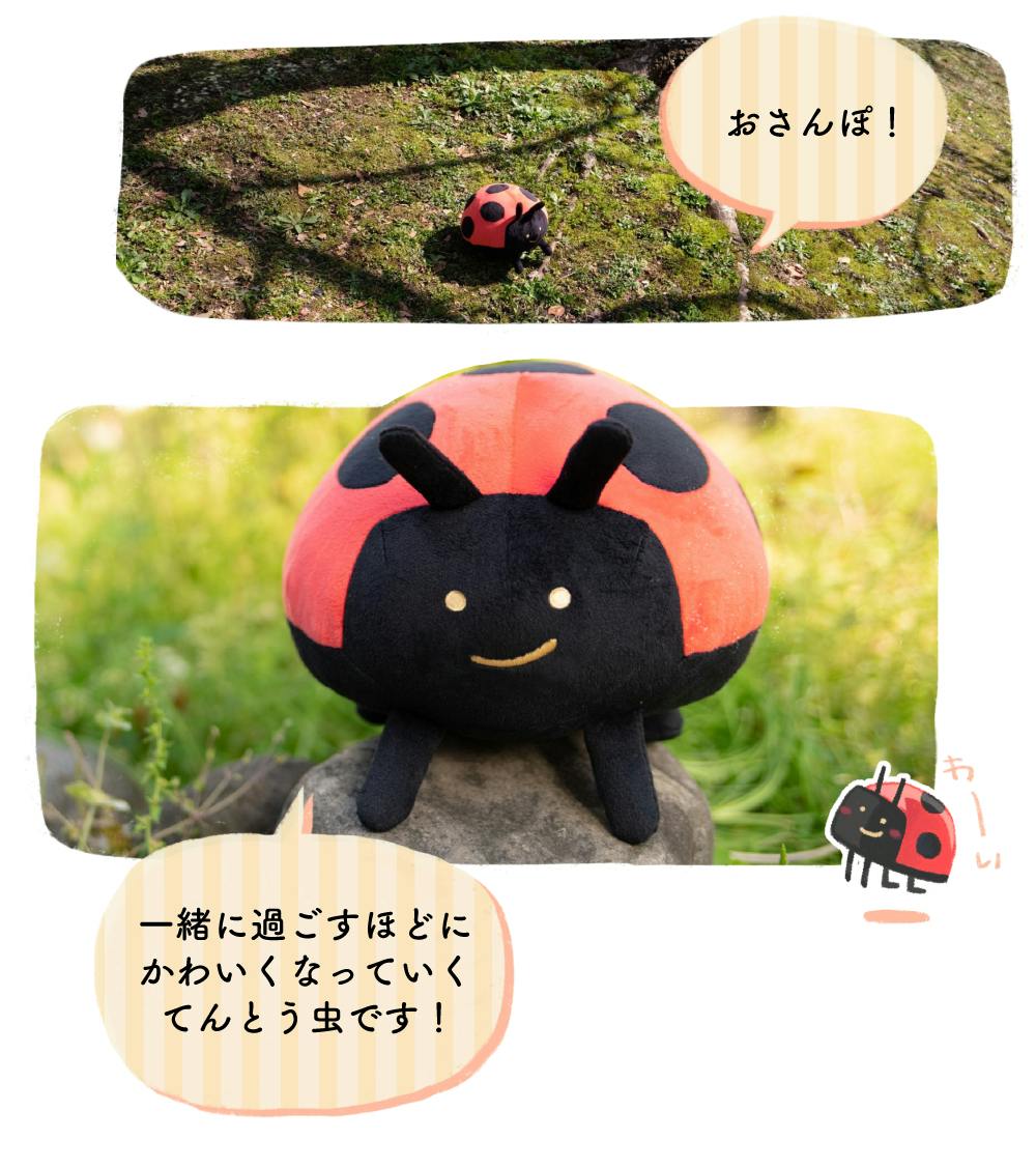 毎日てんとう虫ぬいぐるみプロジェクト Campfire キャンプファイヤー 毎日てんとう虫ぬいぐるみプロジェクト Campfire キャンプファイヤー