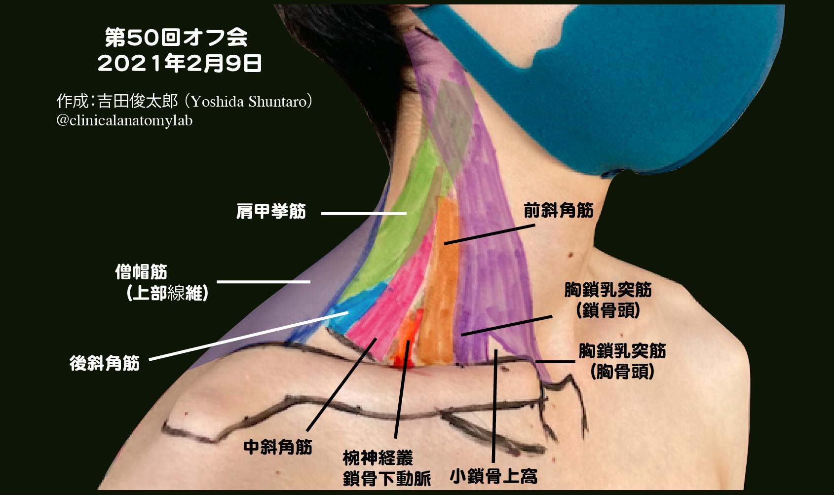 Clinical Anatomy Lab ー臨床解剖学教室ー Campfireコミュニティ