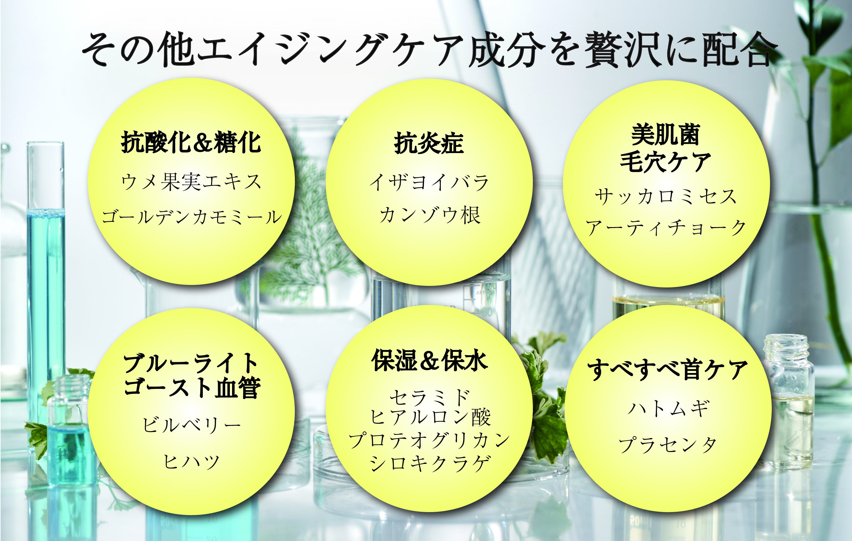スーッと入って潤い満タン 高機能化粧水発売 再利用可能な容器で地球にもやさしく Campfire キャンプファイヤー