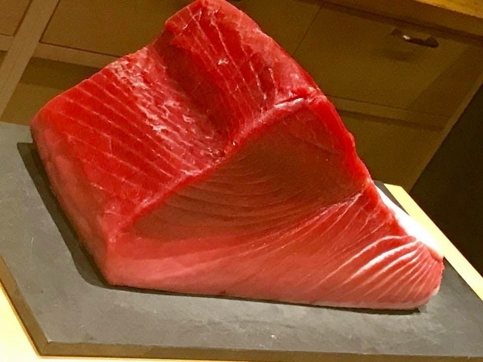 Jozpictsigpmx マグロ 500g どのくらい マグロ 500g どのくらい Jozpictsigpmx マグロ 500g どのくらい マグロ 500g どのくらい