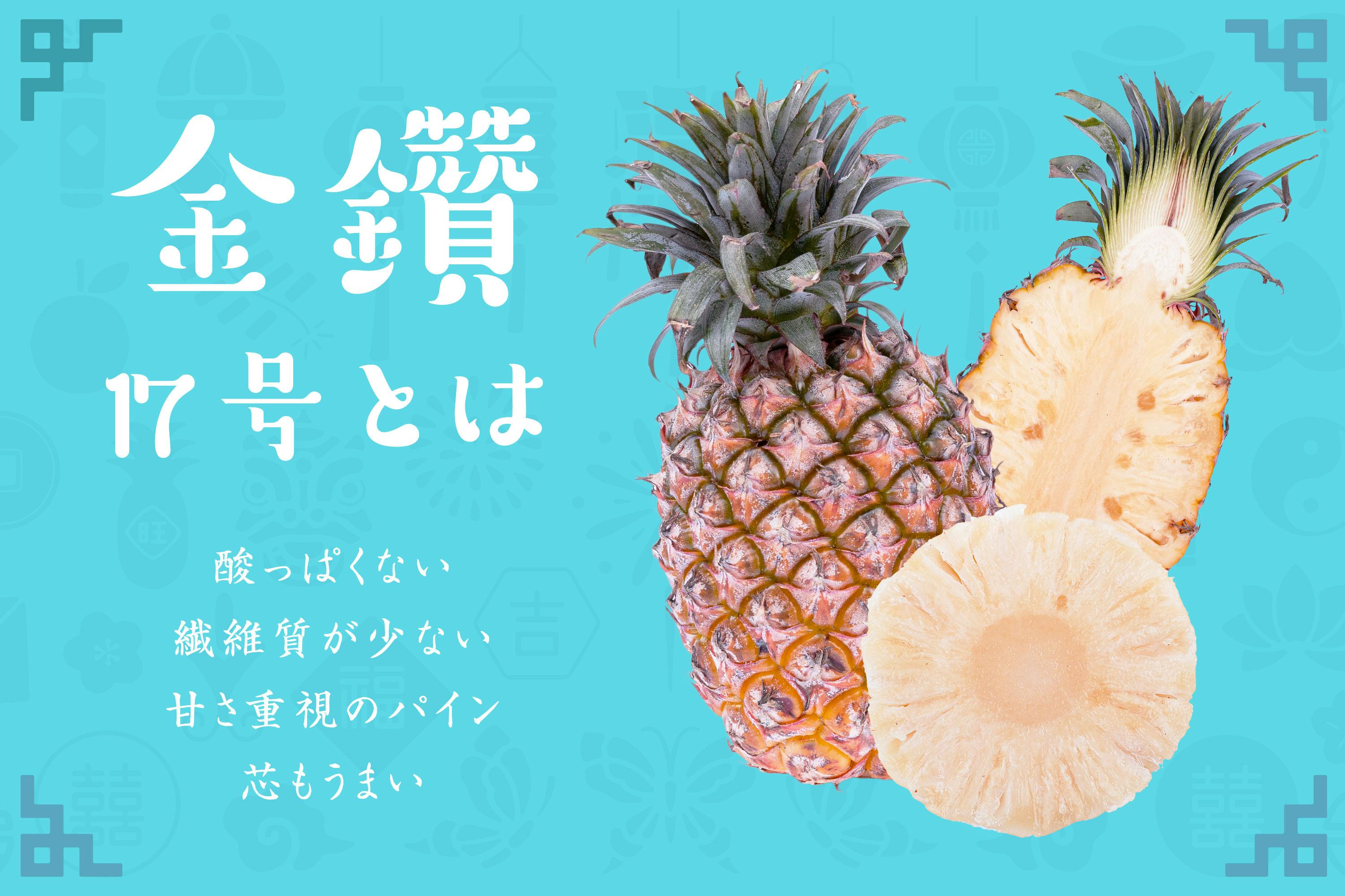 超短い 十日限定企画 見逃してはならぬ 台湾のパイナップルから台湾の応援を Campfire キャンプファイヤー 超短い 十日限定企画 見逃してはならぬ 台湾のパイナップルから台湾の応援を Campfire キャンプファイヤー