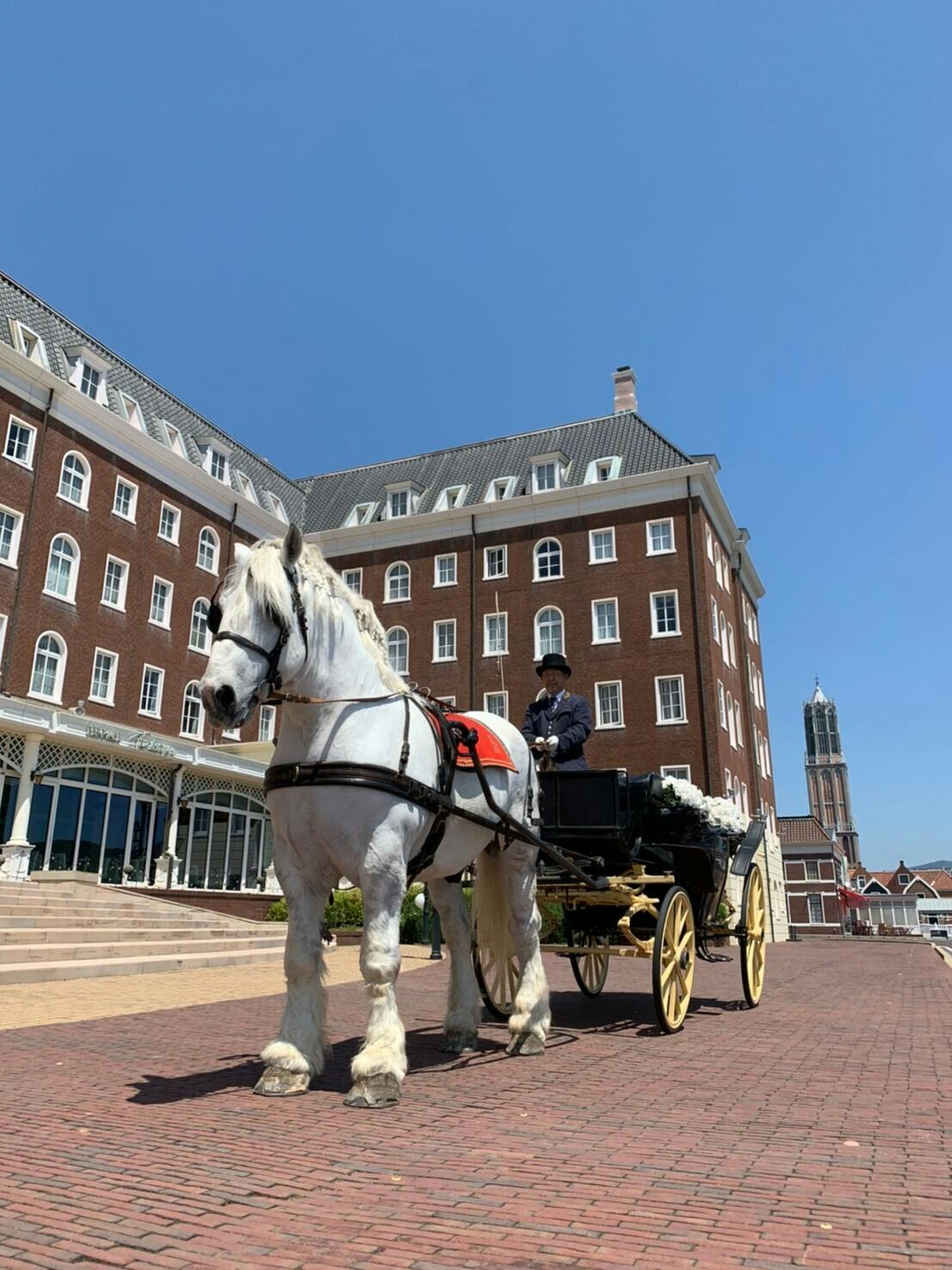 ハウステンボスでお客様を笑顔にしてくれる馬たちの 変わらぬ日常 を守りたい Campfire キャンプファイヤー ハウステンボスでお客様を笑顔にしてくれる馬たちの 変わらぬ日常 を守りたい Campfire キャンプファイヤー