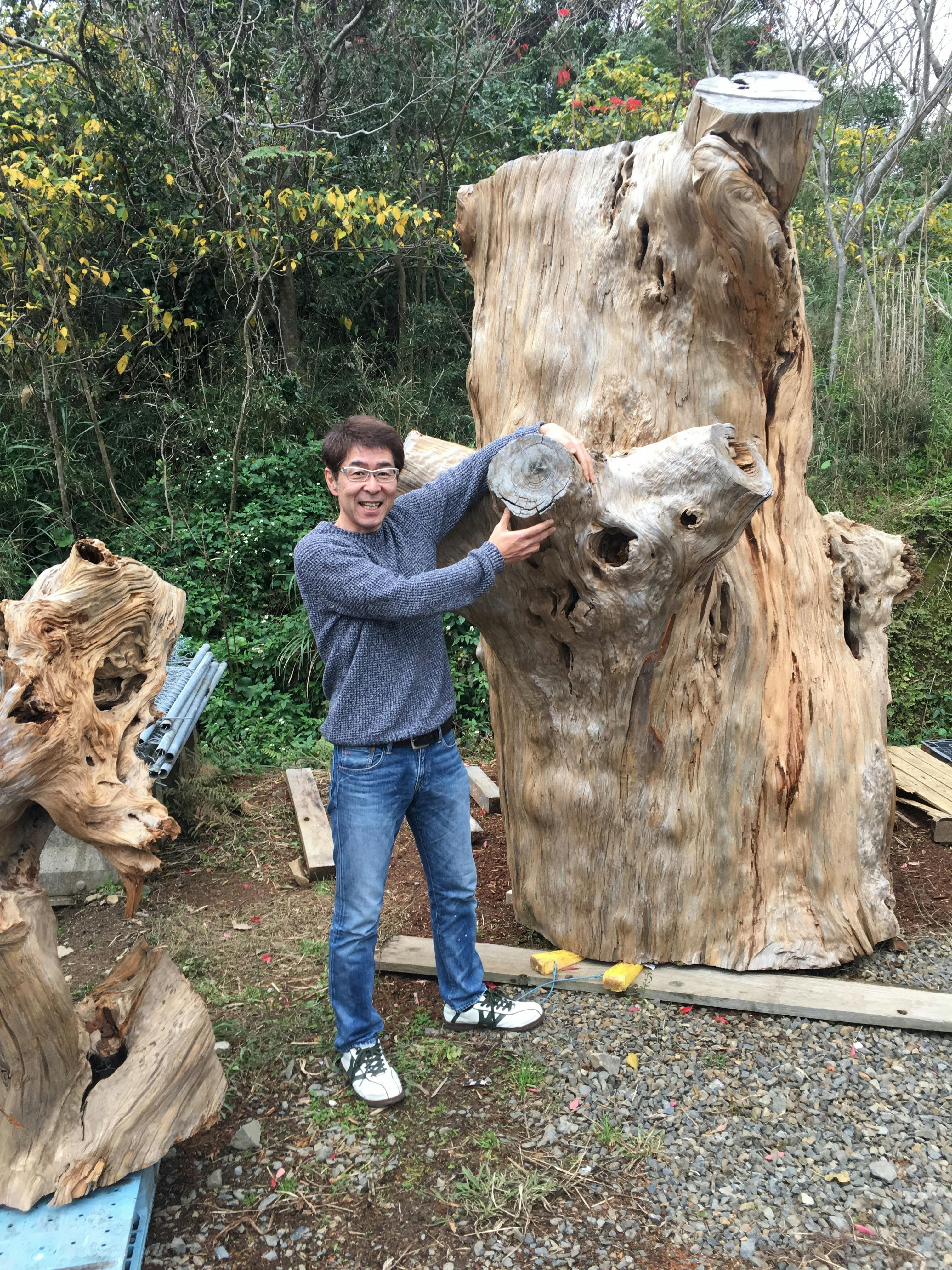 世界自然遺産の希少な屋久杉で高級ボールペンと原木オブジェを作りたい