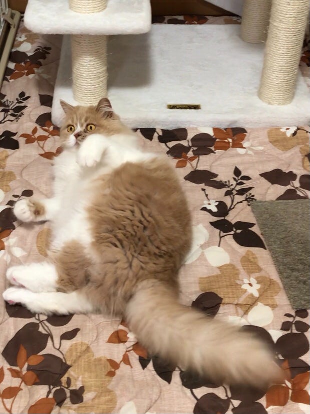 IMG_4682.jpeg