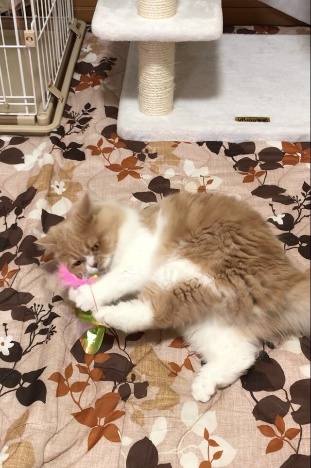 IMG_4681.jpeg