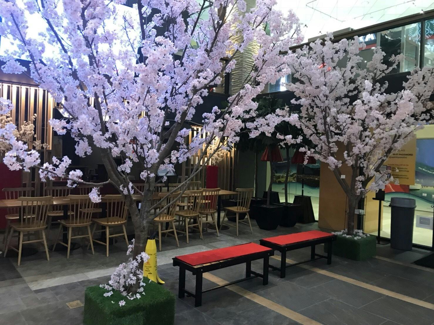 桜魁 ryon ryon企画まつりインハワイイベント40周年を盛り上げたい