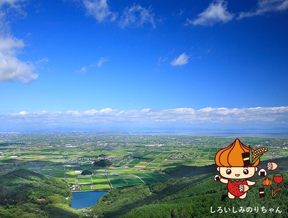 高校生企画 冷凍白石たまねぎ で農家に 希 のぞみ を家庭に 楽 らく を Campfire キャンプファイヤー 高校生企画 冷凍白石たまねぎ で農家に 希 のぞみ を家庭に 楽 らく を Campfire キャンプファイヤー