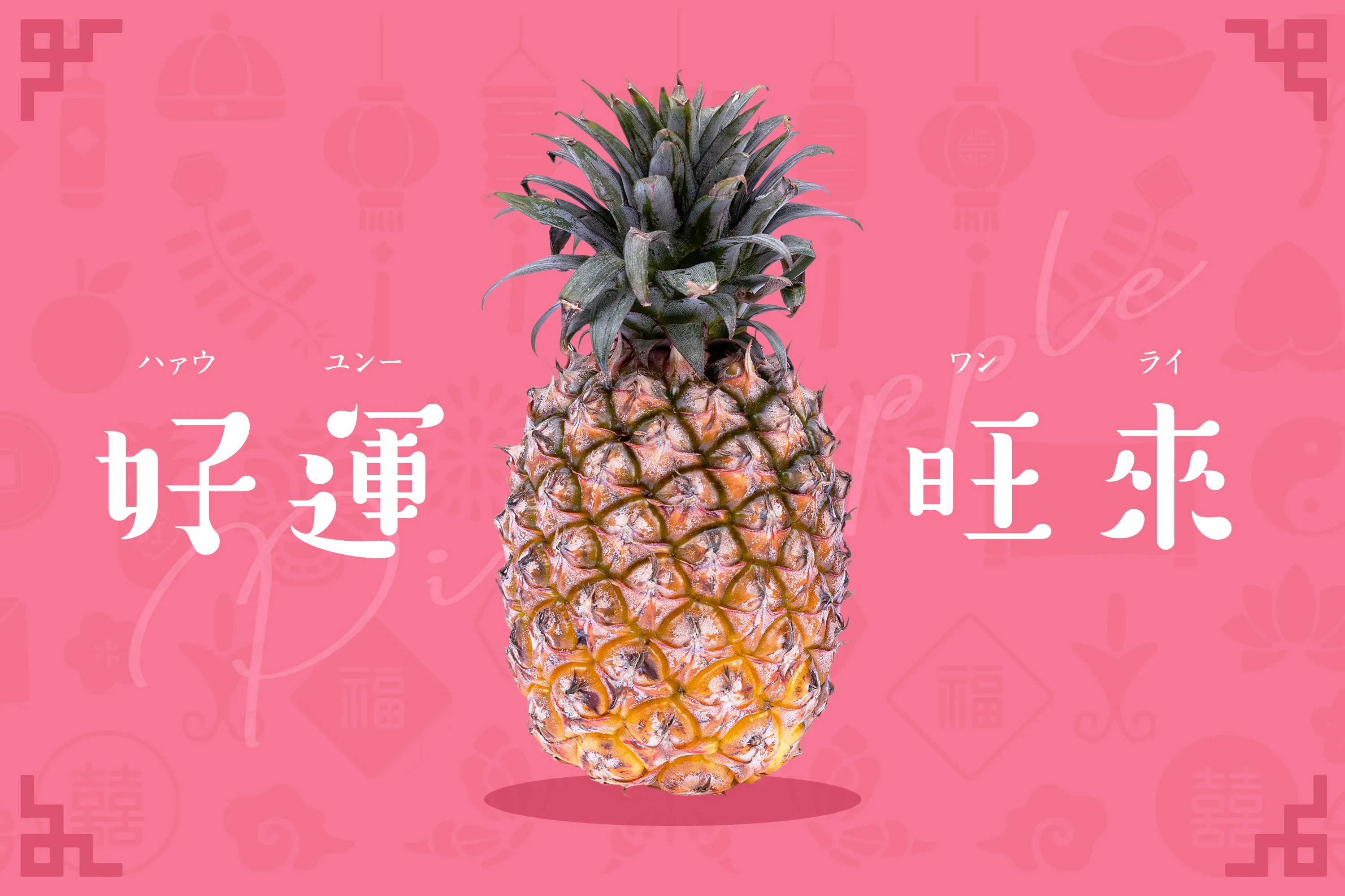 限定企画ミルクパイン 見逃してはならぬ 台湾のパイナップルから台湾の応援を Campfire キャンプファイヤー 限定企画ミルクパイン 見逃してはならぬ 台湾のパイナップルから台湾の応援を Campfire キャンプファイヤー