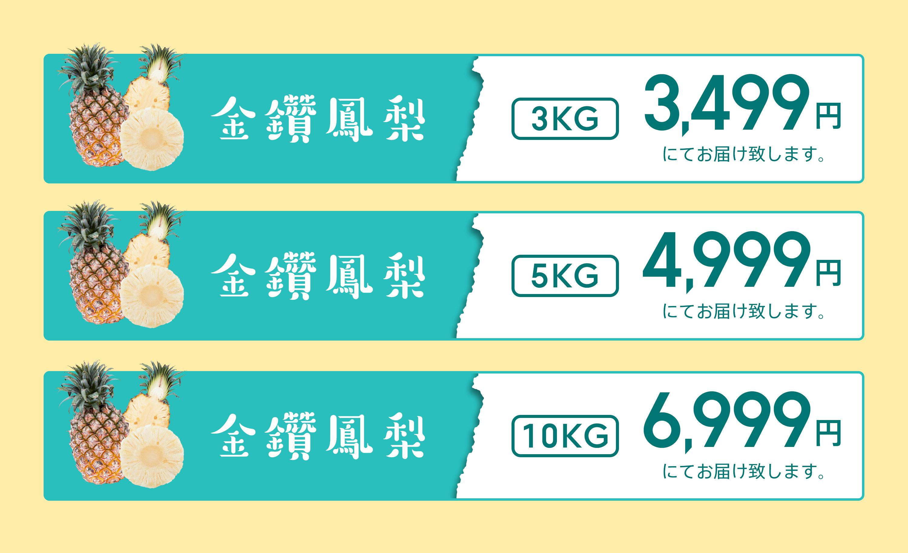 超短い 十日限定企画 見逃してはならぬ 台湾のパイナップルから台湾の応援を Campfire キャンプファイヤー 超短い 十日限定企画 見逃してはならぬ 台湾のパイナップルから台湾の応援を Campfire キャンプファイヤー