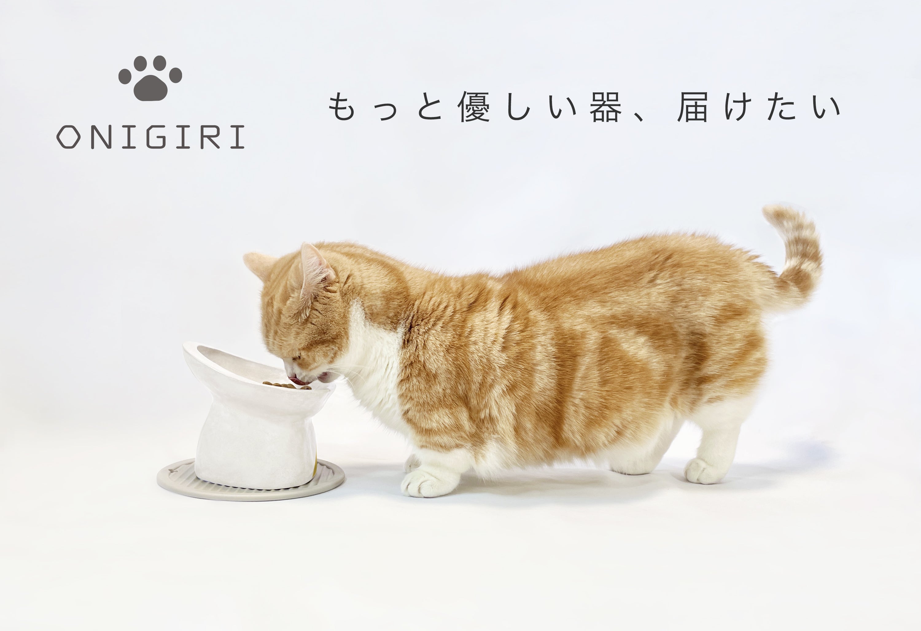 鼻ぺちゃ猫にも優しいフードボウル パウ ボウル Onigiri を商品化したい Campfire キャンプファイヤー 鼻ぺちゃ猫にも優しいフードボウル パウ ボウル Onigiri を商品化したい Campfire キャンプファイヤー