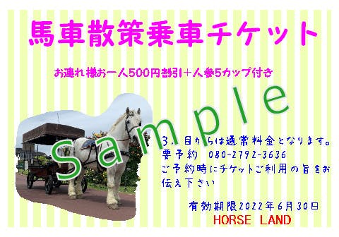 ハウステンボスでお客様を笑顔にしてくれる馬たちの「変わらぬ日常」を ...