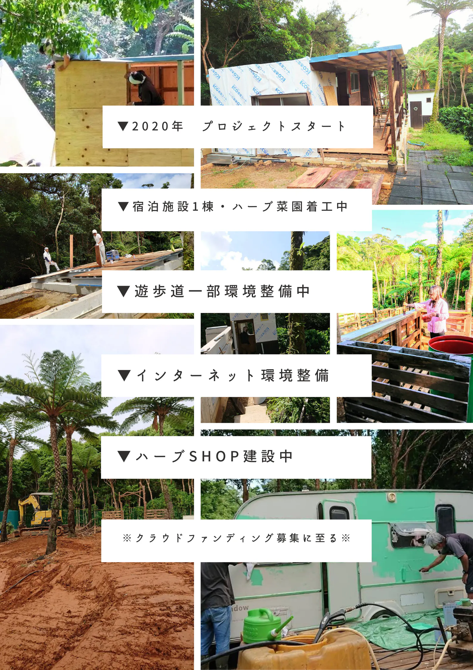 沖縄コーヒー農家の新たな挑戦 コーヒー農園に世界とつながれる拠点をつくりたい Campfire キャンプファイヤー