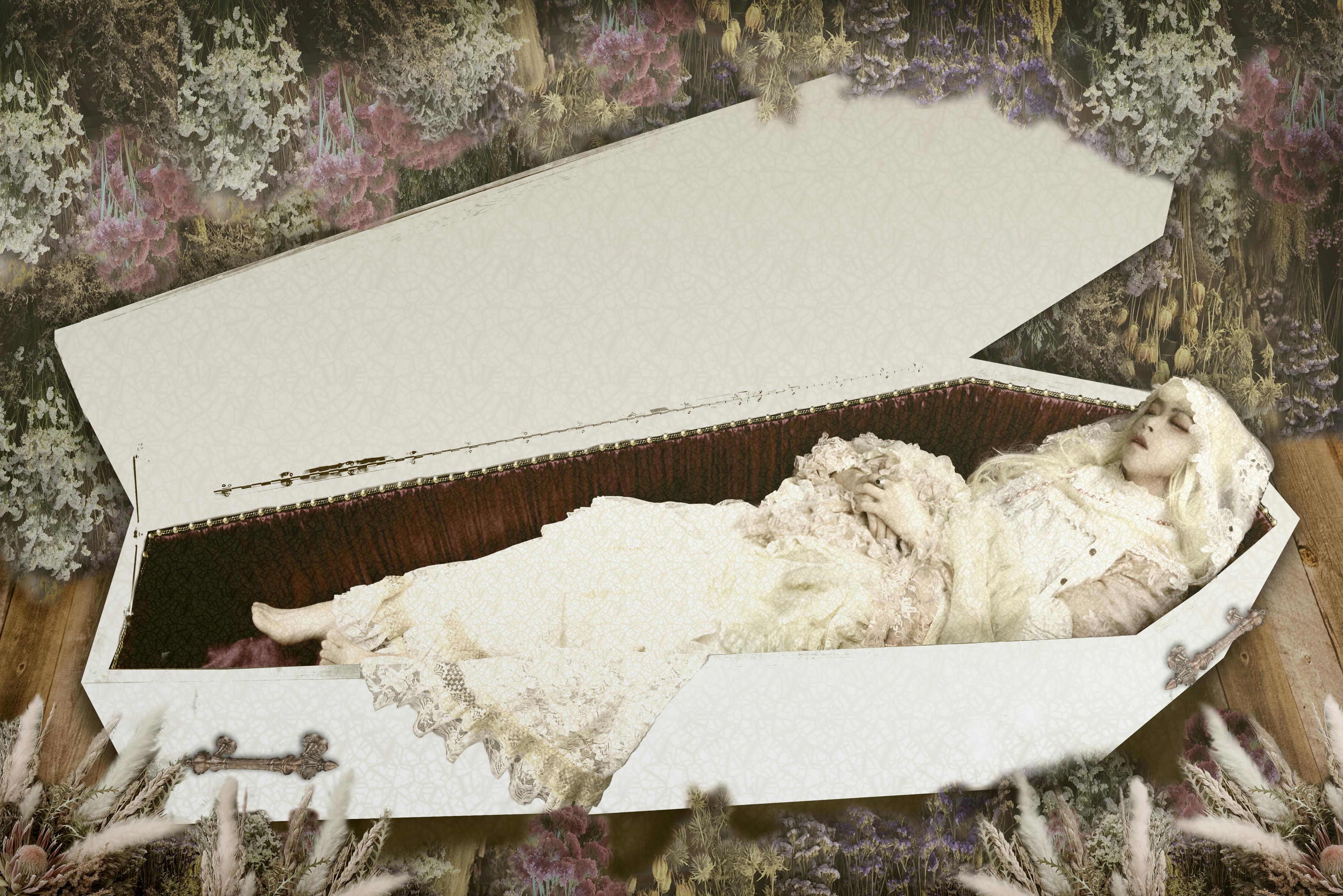 棺で眠りたい インテリアとしても使える 使い方はあなた次第で無限大の棺家具 Campfire キャンプファイヤー 棺で眠りたい インテリアとしても使える 使い方はあなた次第で無限大の棺家具 Campfire キャンプファイヤー