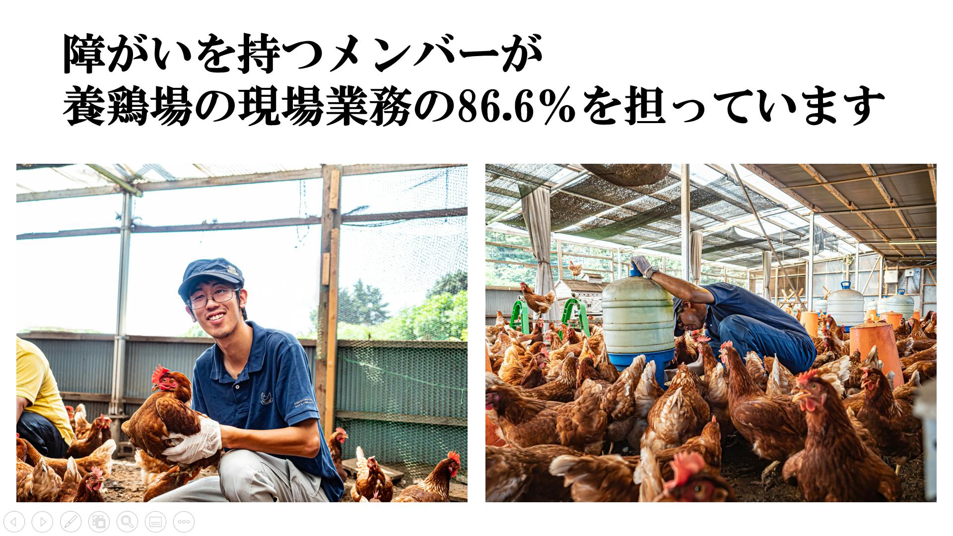 障がい者とつくる最高級卵を使った 極上たまごかけごはんのお店 を東京に開きます Campfire キャンプファイヤー 障がい者とつくる最高級卵を使った 極上たまごかけごはんのお店 を東京に開きます Campfire キャンプファイヤー