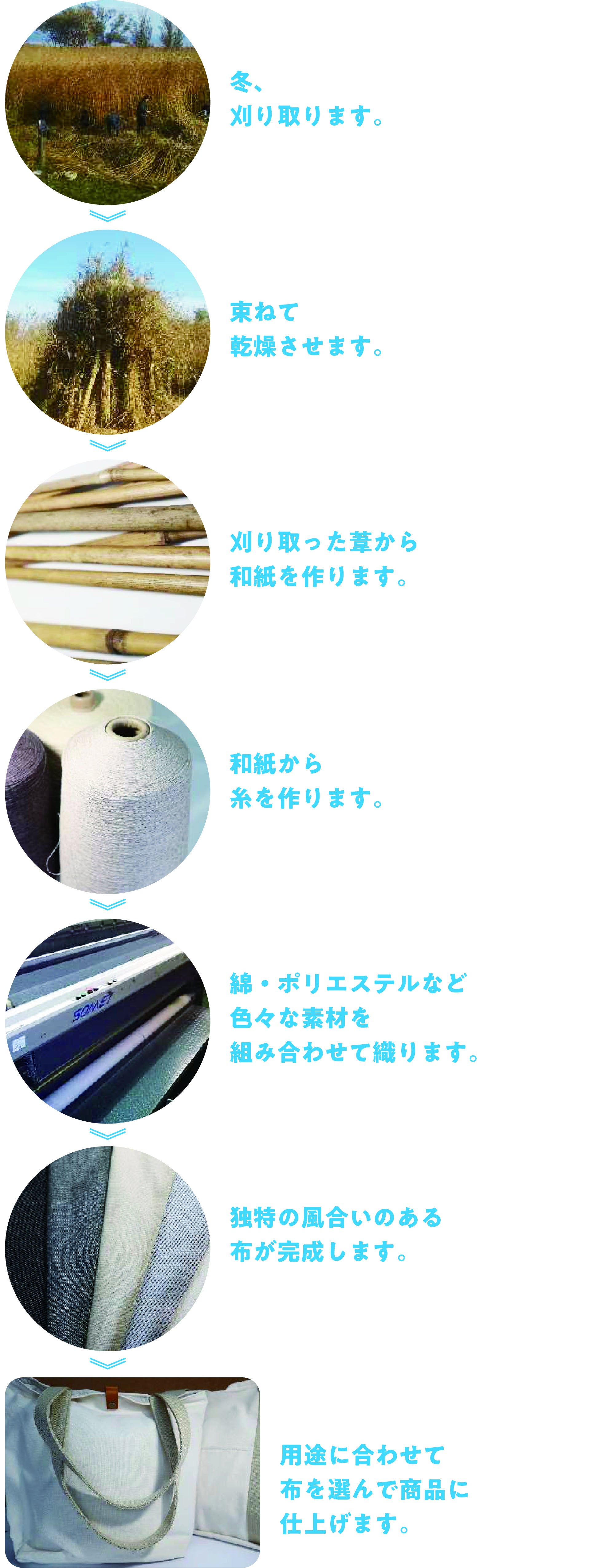 琵琶湖の葦（ヨシ）でサスティナブルな湖国の新たな特産品を作る