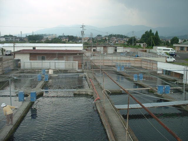 養殖場全景