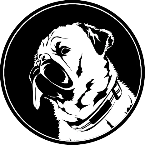 動物たちの可愛さをそのままシルエットにしたブランドを作りたい Campfire キャンプファイヤー