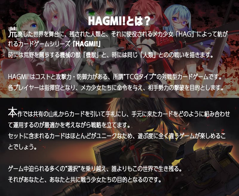 第1位獲得！ hagmi様専用 量産型制作＋全国配備計画 レディース