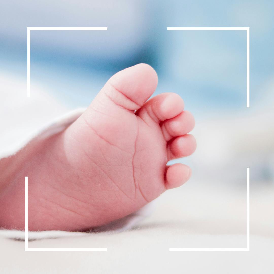 心をこめて 手作りキット Campfire キャンプファイヤー 心をこめて 手作りキット Campfire キャンプファイヤー