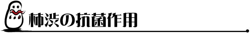 柿渋の抗菌作用