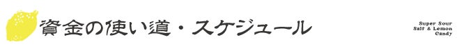資金の使い道・スケジュール