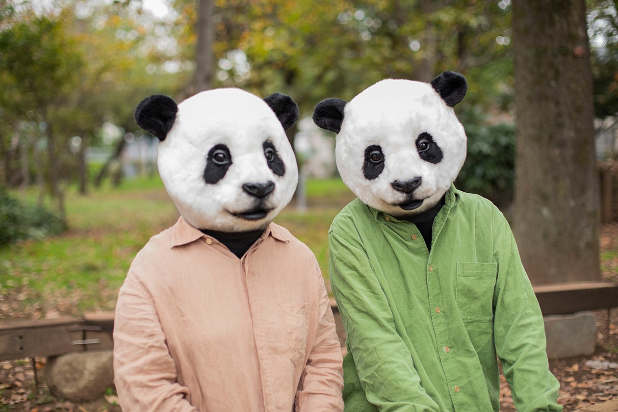 かなりのレア商品 パンダ着ぐるみ 年中無休
