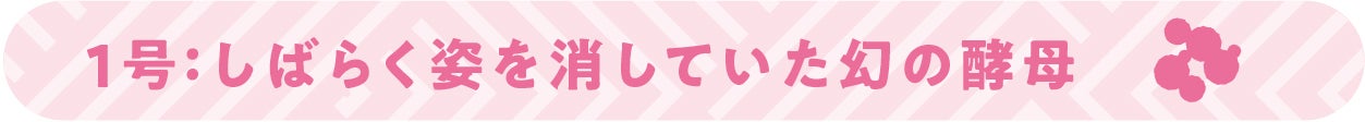 1号：しばらく姿を消していた幻の酵母