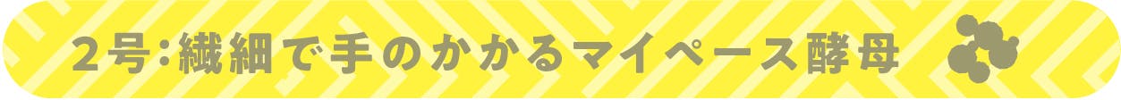 2号：繊細で手のかかるマイペース酵母