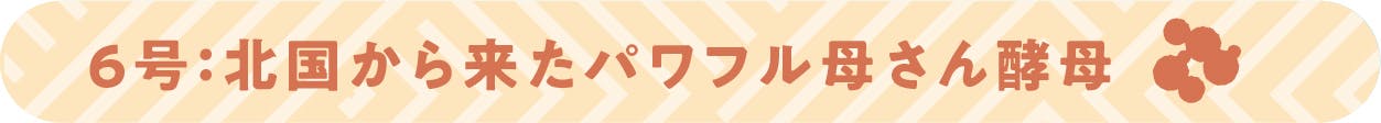 ６号：北国から来たパワフル母さん酵母